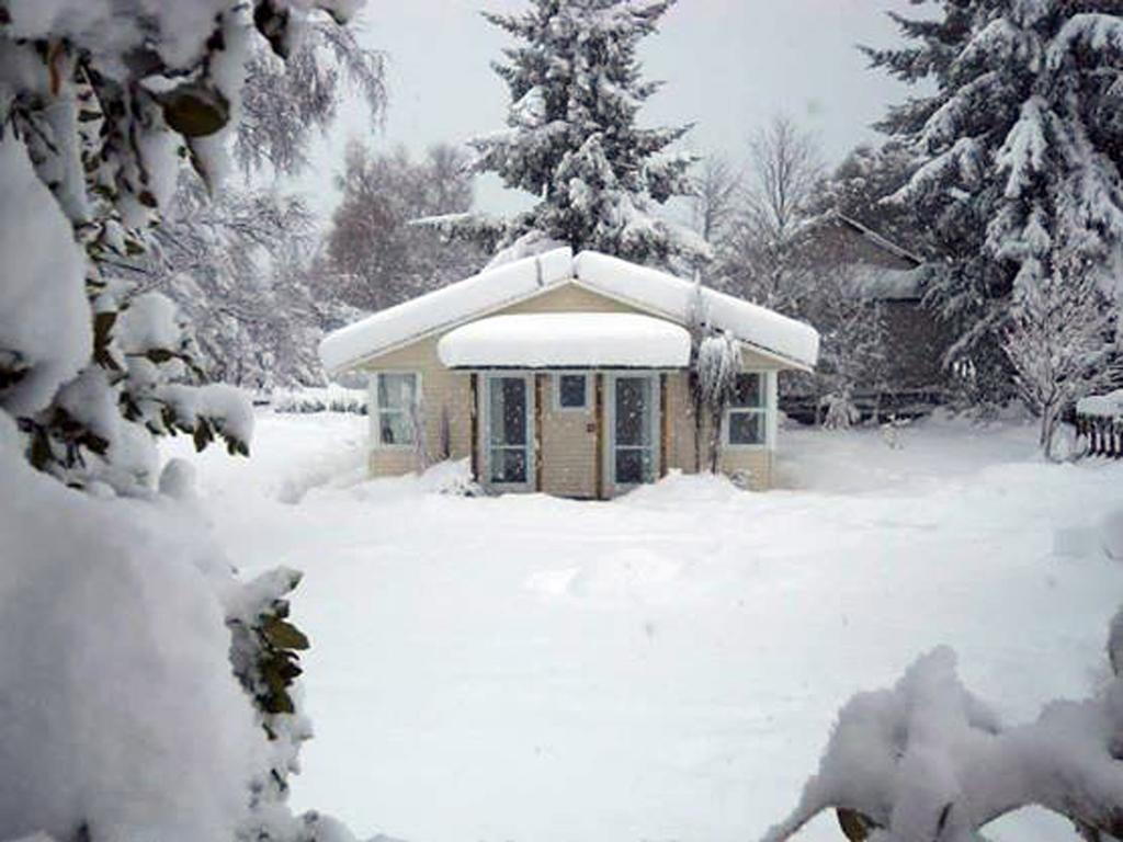 Tailor Made Tekapo Accommodation - Hostel Lake Tekapo Room photo